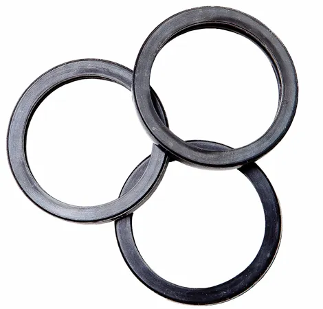 rotopax-3-fuel-spout-replacement-gaskets-3-ersatzdichtungen-f-r-den-eco-ausguss image 1