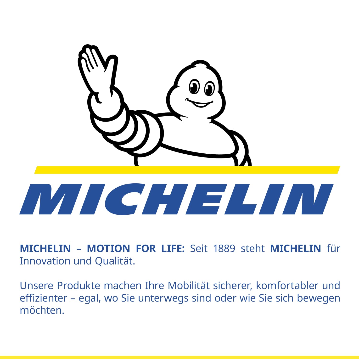 michelin-air-power-mini-1-li-ionen-akku-mini-kompressor-kabellos-elektrische-luf image 8